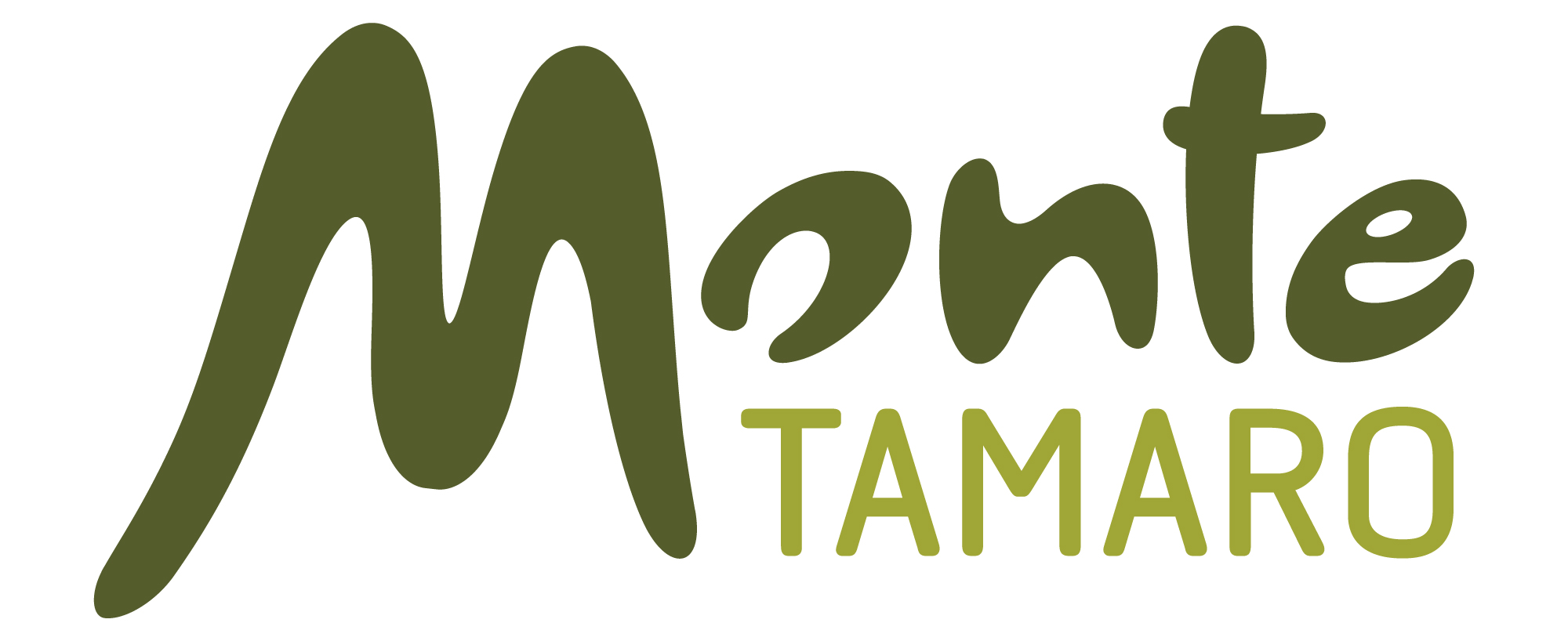 Monte Tamaro SA, Logo